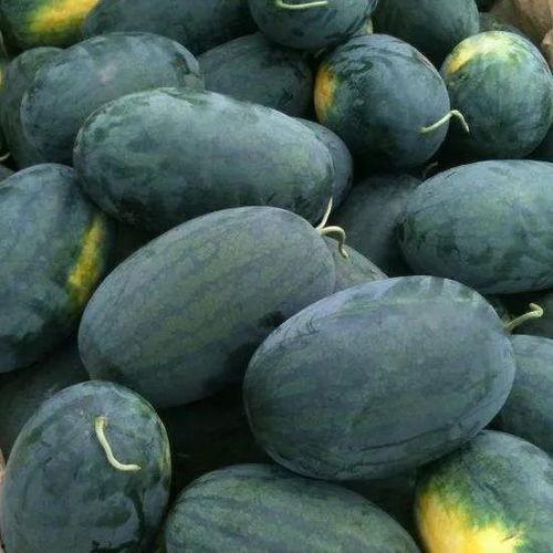 宝职院事件吃瓜,揭秘校园风波背后的真相与反思