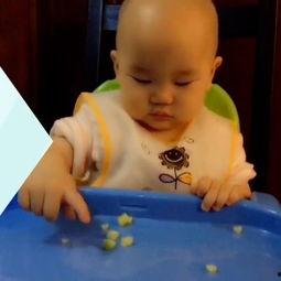 吃瓜监控光头,揭秘娱乐圈幕后风云