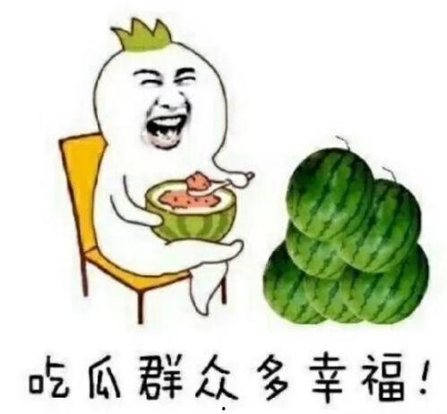 娱乐吃瓜拍摄地