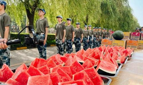 航空技校吃瓜,揭秘吃瓜背后的校园故事