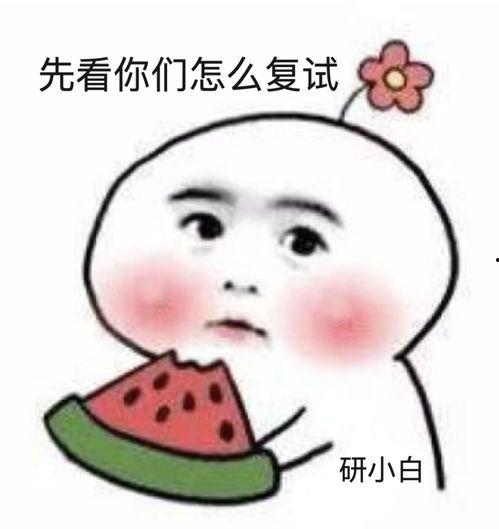 吃瓜结果自己成了瓜小说,我的吃瓜之旅