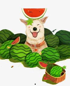 小狗吃瓜绘画素材,小狗吃瓜的欢乐时光