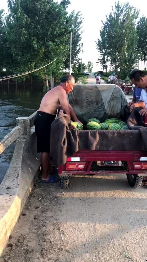 上游吃瓜下游打扫,揭秘网络舆论生态的微妙关系