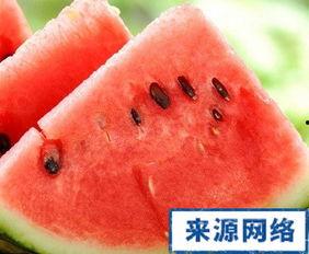 瓜会吃胖吗,吃瓜真的会让人发胖吗？揭秘真相