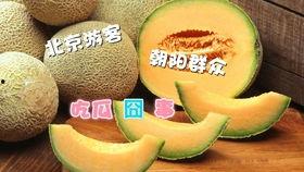 吃瓜乡,揭秘乡村里的甜蜜生活与趣味故事