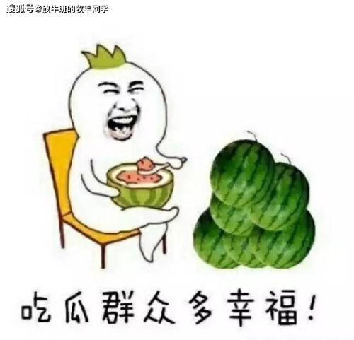 吃瓜群众变成一个瓜,吃瓜群众见证的瓜界风云