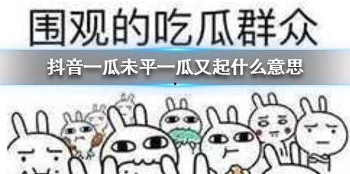 抖音群聊吃瓜,揭秘吃瓜群众的狂欢盛宴