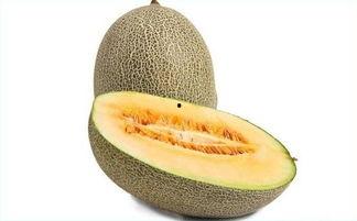 妙吃哈密瓜,探寻新疆瓜果的甜蜜奥秘