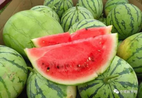 乐刻教练吃瓜,揭秘健身圈幕后风云