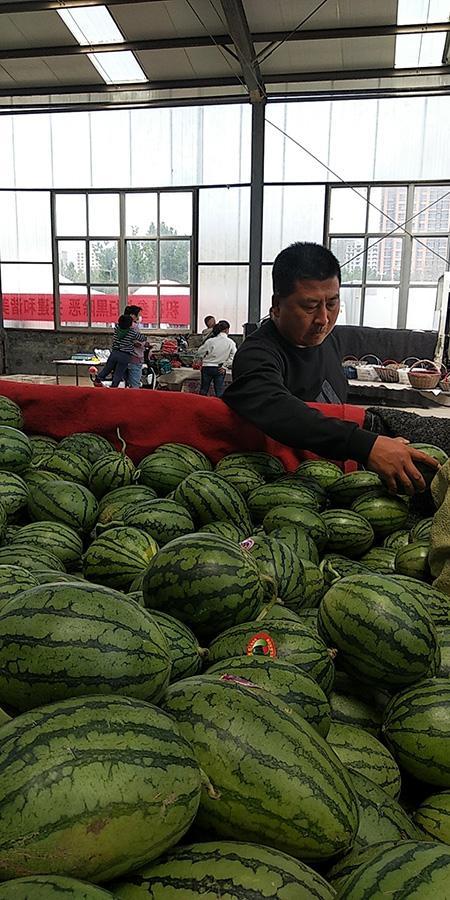 呱唧呱唧吃大瓜,揭秘娱乐圈幕后故事